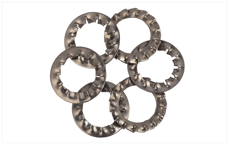 Máy rửa răng bên trong